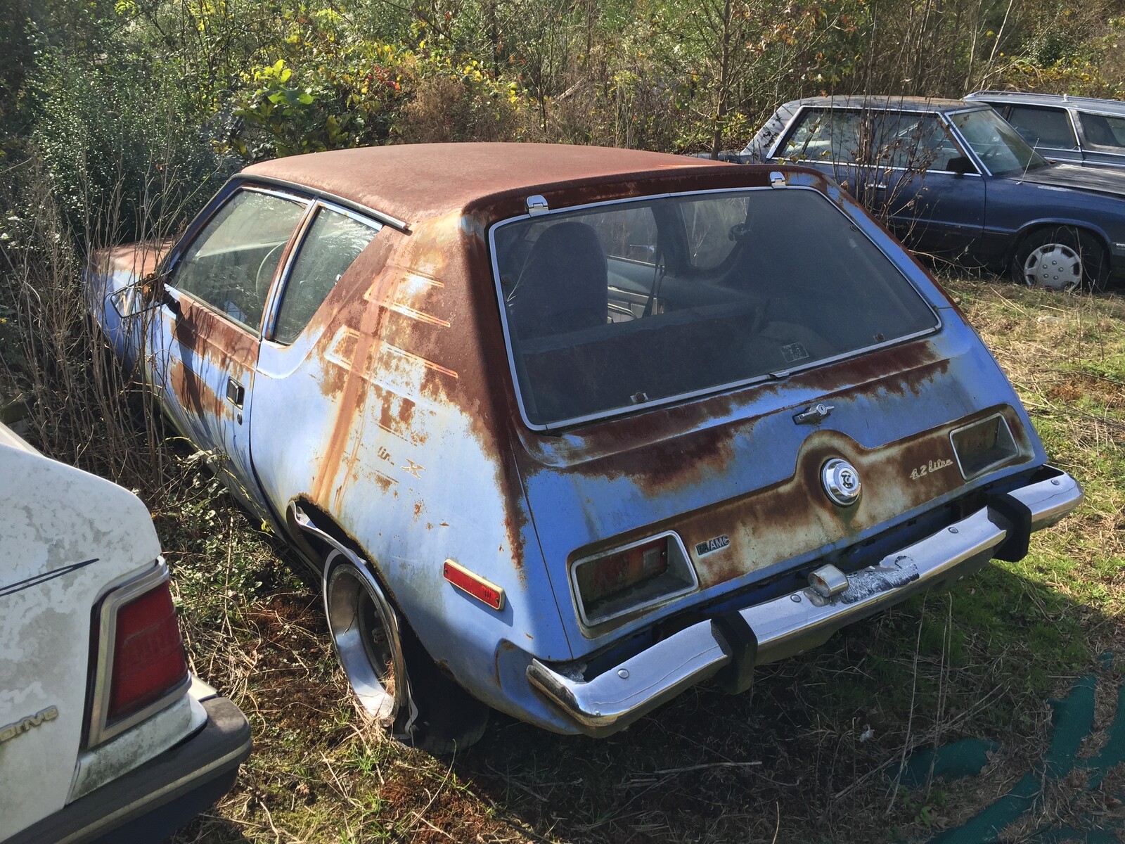 Am 17. November 2015 ist bei Collier Motors in Pikeville, North Carolina, ein AMC Gremlin X des Modelljahrs 1973 zu sehen, der langsam wieder mit der Erde verschmilzt. Das Auto ist mit der optionalen Levi-Innenausstattung und einem Sechszylindermotor mit 258 Kubikzoll (4,2 Litern) ausgestattet. Collier Motors war ein autorisierter H�ndler, der Fahrzeuge der American Motors Corporation (AMC) verkaufte und wartete. Das Auto steht auf dem Gel�nde des Betriebs an der US-117, 4713 US-117 Hwy, Pikeville, NC 27863, und ist schr�g von der Seite aufgenommen.