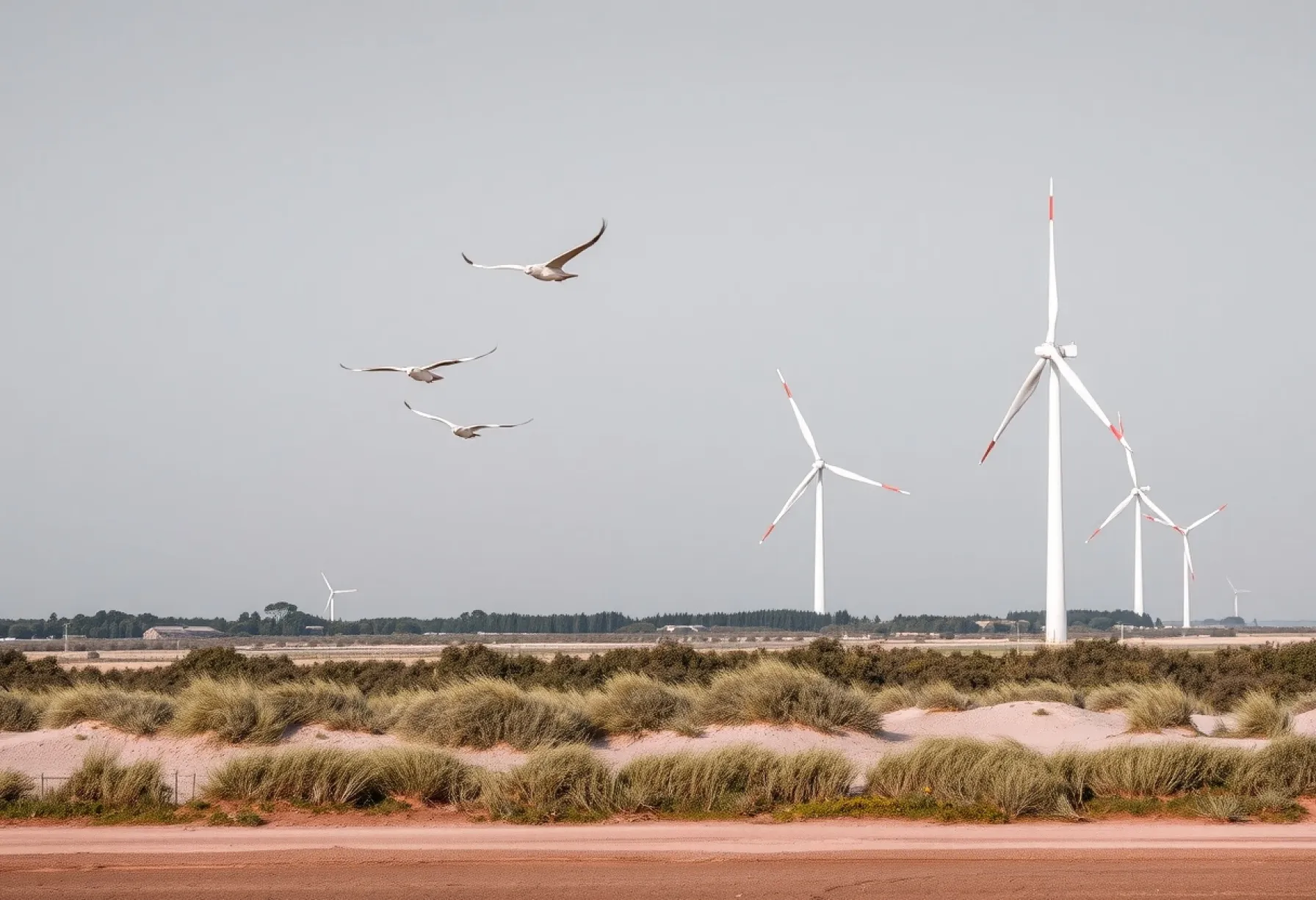 Windkraftanlagen in der niedersächsischen Küstenlandschaft: Ein Panorama der erneuerbaren Energie
