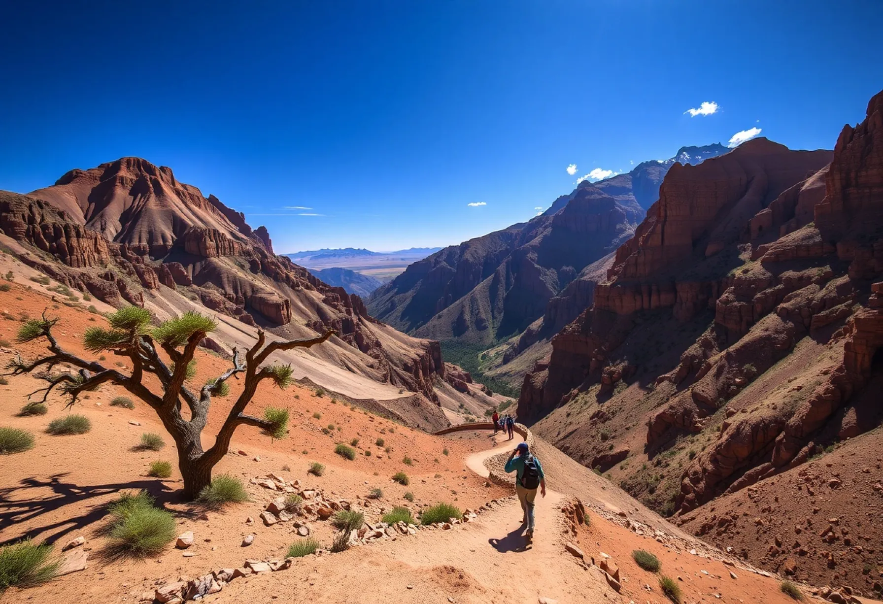 Landschaft des Atlasgebirges mit Felsen, Akazien und Wanderpfad