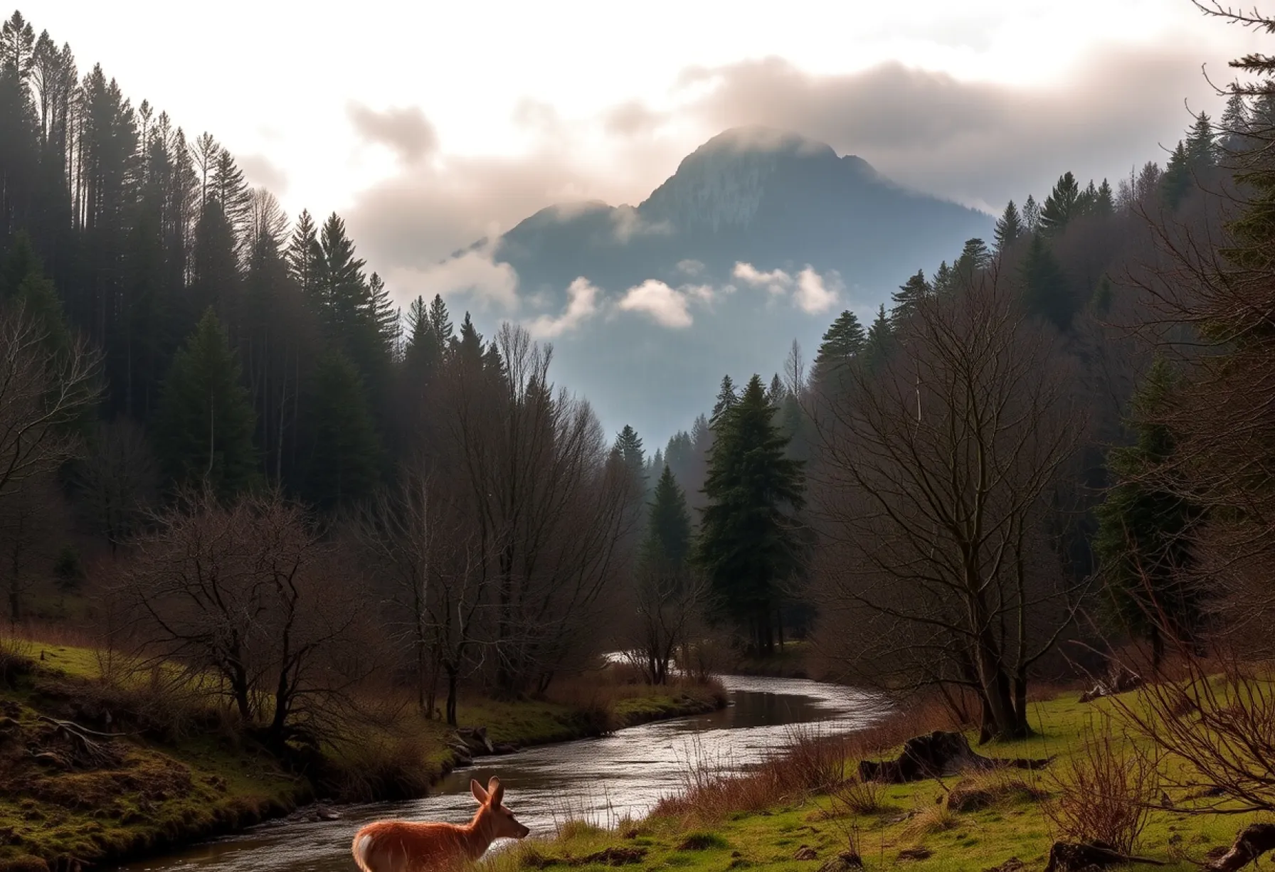 Morgenstimmung in den rumänischen Karpaten: Natur und Ruhe im Nebel