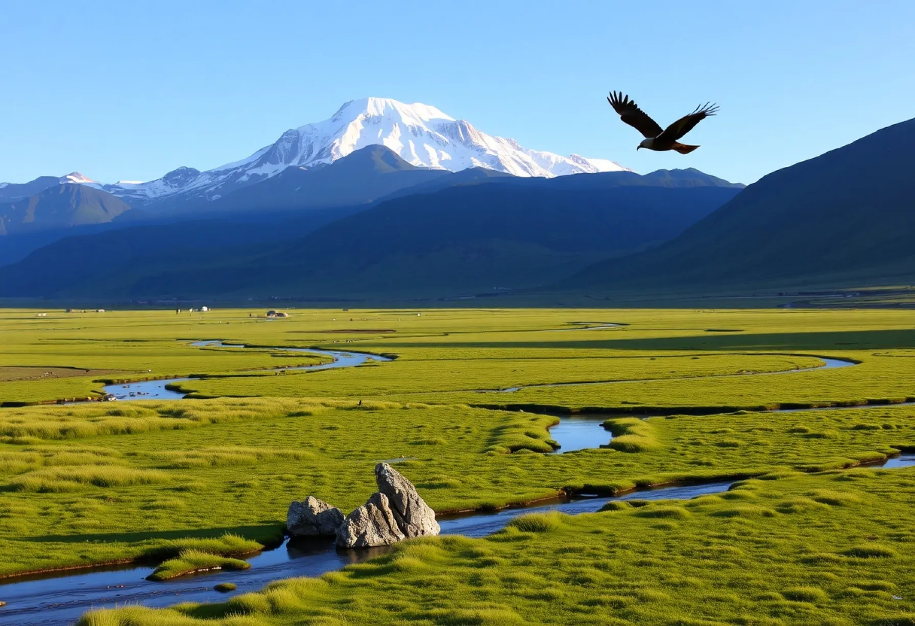 Morgenansicht des Elbrus im Kaukasus: Schneebedeckte Gipfel, grüne Wiesen und unberührte Natur