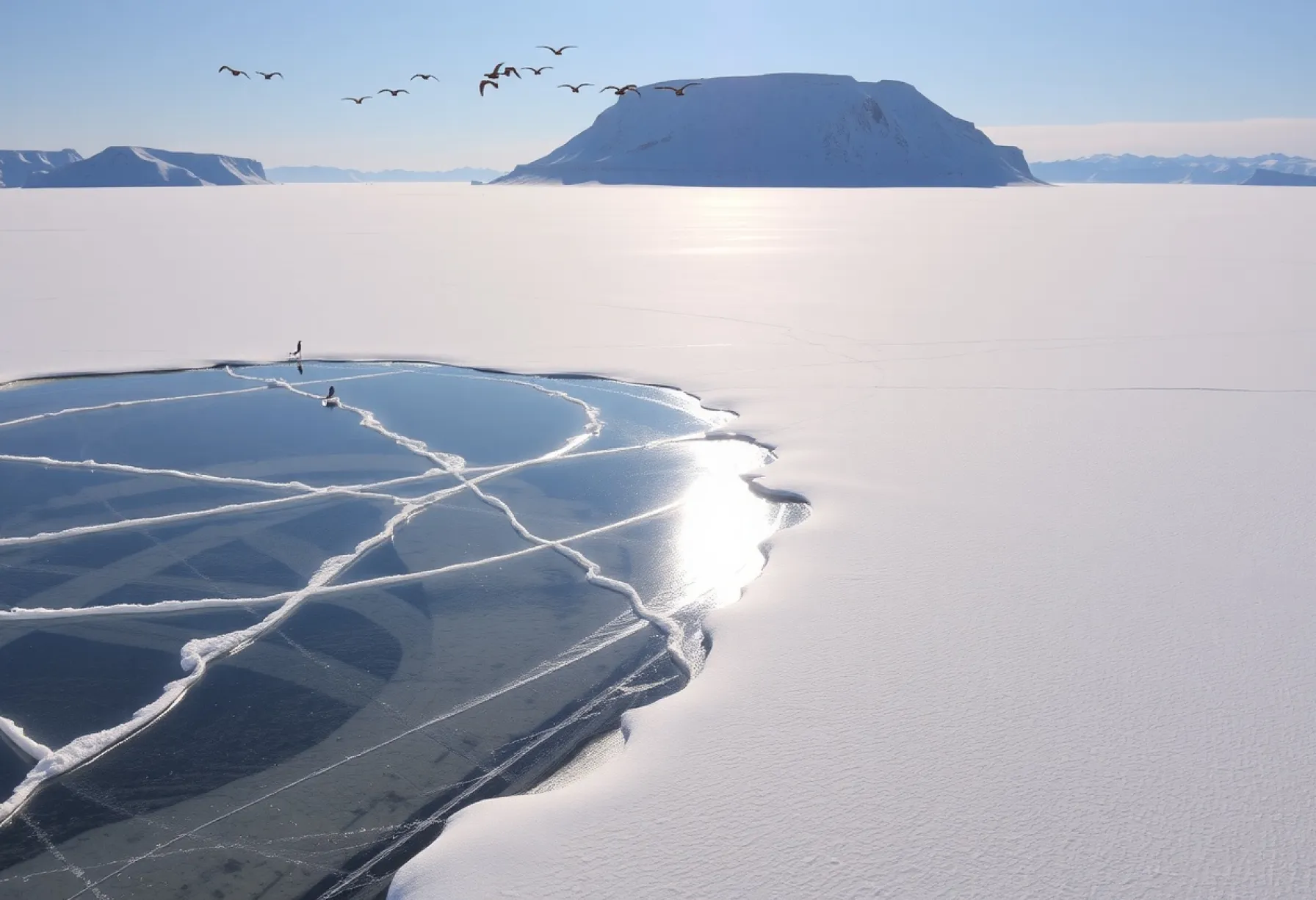 Winterlandschaft mit gefrorenem See und Eisbärenspuren vor eisbedeckter Klippe und Küstenseeschwalben im Flug