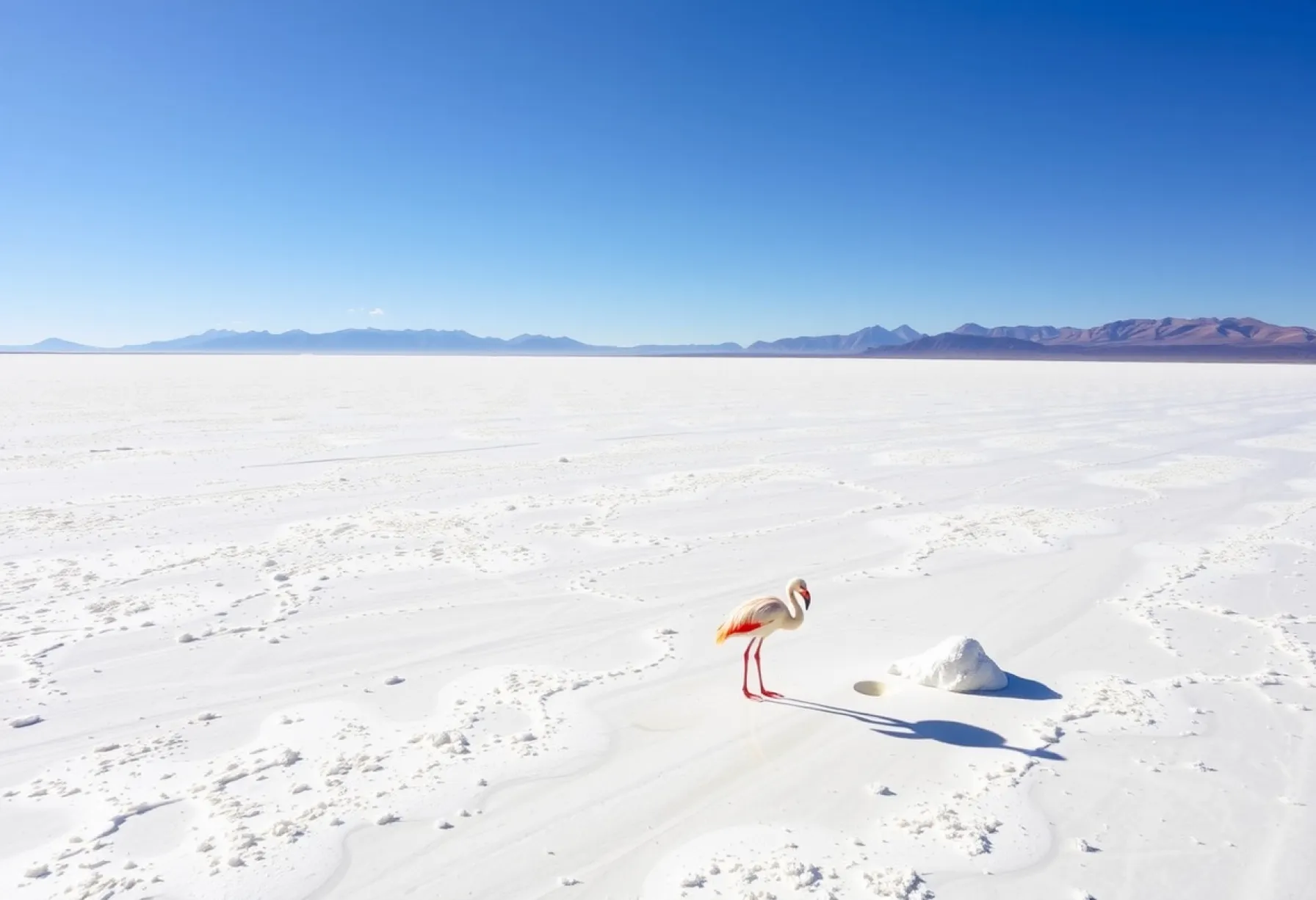 Salzsee in der Atacama-Wüste: Geologische und natürliche Merkmale einer einzigartigen Landschaft