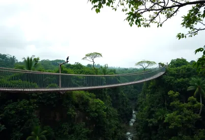 Hängebrücke über Amazonas-Schlucht: Altersspuren und Naturkulisse