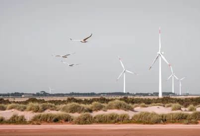 Windkraftanlagen in der niedersächsischen Küstenlandschaft: Ein Panorama der erneuerbaren Energie