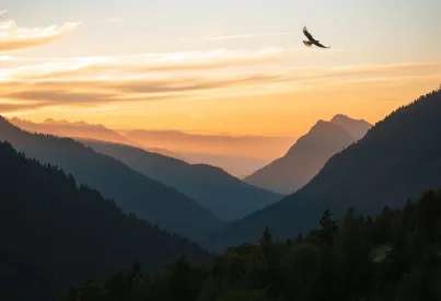 Berglandschaft der Karpaten bei Sonnenaufgang: Wald, Nebel und felsige Gipfel im Morgenlicht