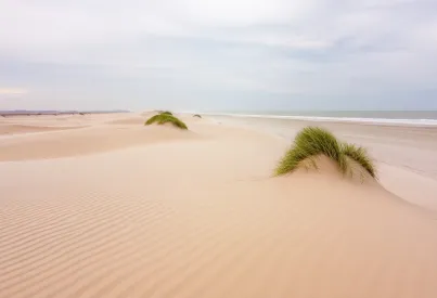 Dünenlandschaft und Küstenstille auf Sylt: Ein Blick auf die natürliche Schönheit der Nordseeumgebung