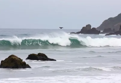 Küstenlandschaft von Big Sur: Felsige Küste und Brandung im Gleichgewicht