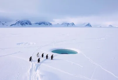 Antarktische Landschaft mit Pinguinen, Eisfeldern und Wissenschaftlerspuren