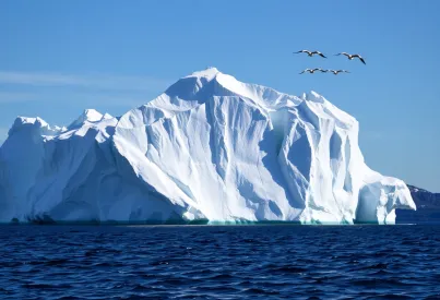 Eisberg in der Arktis: Ruhe und Veränderung in der Nähe von Grönland