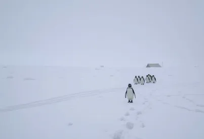Schneesturm in der Antarktis: Naturgewalten und Spuren menschlicher Forschung