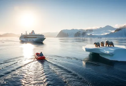 Expeditionskreuzer im Scoresby Sund: Begegnung mit Eisbären in Grönland