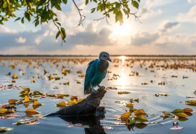Eisvogel im Pantanal: Ein Moment der Jagd in der Naturfotografie