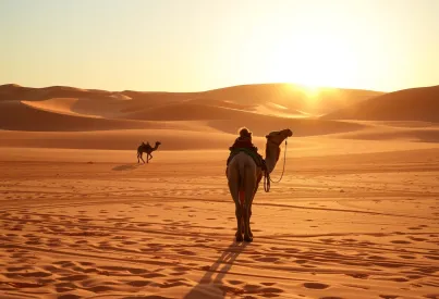 Kamel in der Abenddämmerung einer stillen Wüstenlandschaft